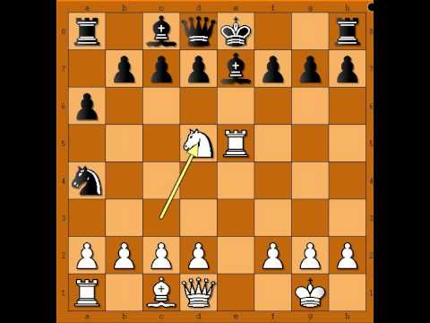 Ucimo matove . Anastazijin mat - BERRYMAN vs STAAT # 645