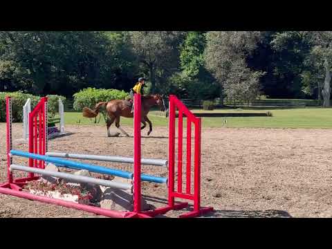 Something Phenomenal video 2
