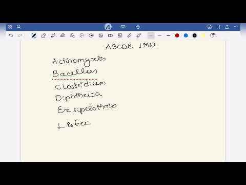 GRAM POSITIVE BACILLI MNEMONIC