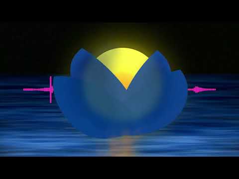 Sônge Project Shining