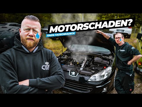 TAUSCHRAUSCH | Schlechte Nachrichten für den Peugeot! | E36 wird tiefergelegt!
