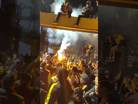 "Y DALE PEÑAROOOOOL…" Barra: Barra Amsterdam &bull; Club: Peñarol &bull; País: Uruguay