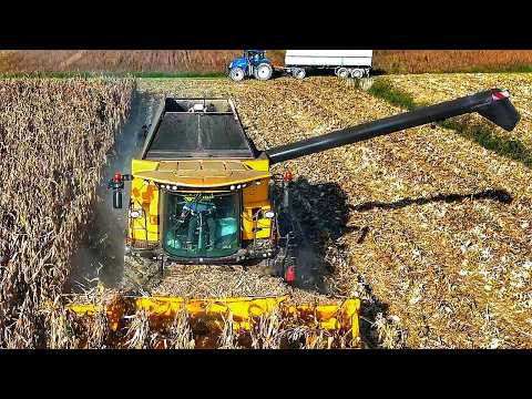 CORN HARVEST 2024 NEW HOLLAND CR REVELATION