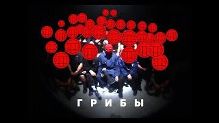 Грибы - Копы Грибы - Копы