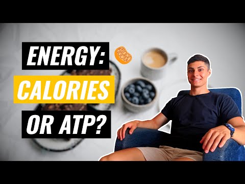 Metabolic Energy: Calories and ATP