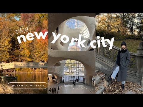 nyc vlog 🍁 fall foliage, central park, upper west side cafes, shopping & natural history museum