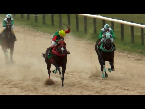 SINAI THUNDER - CAMPEON 2da POLLA HARAS OASIS - Hipódromo Flores - 500m - 03/04/2022