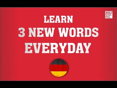 German - learn 3 new words every day