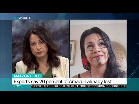 Indigenous activist, Daiara Tukano discusses the Amazon fires