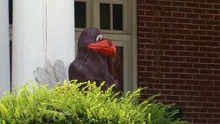 New report sheds lights on Greek life culture at Virginia Tech