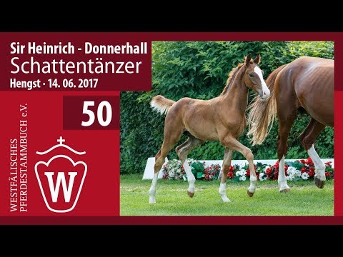 50 Schattentänzer HF v. Sir Heinrich - Donnerhall