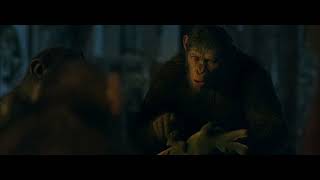 Bad Ape meet Caesar, Maurice, Rocket, Luca and Nova &quot;Long time, long long time ...&quot;