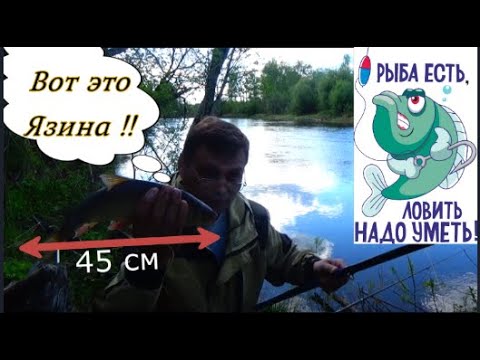 Весна-2019г.Рыбалка на Язя. Река Лобва. Свердловская область.