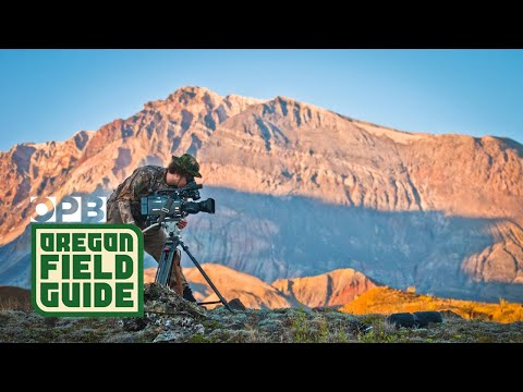 Volcanic Rumblings In The Cascades? | Oregon Field Guide