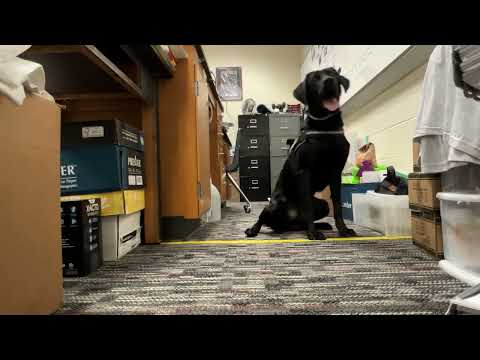 Scent Proof Bags? K9 Tested