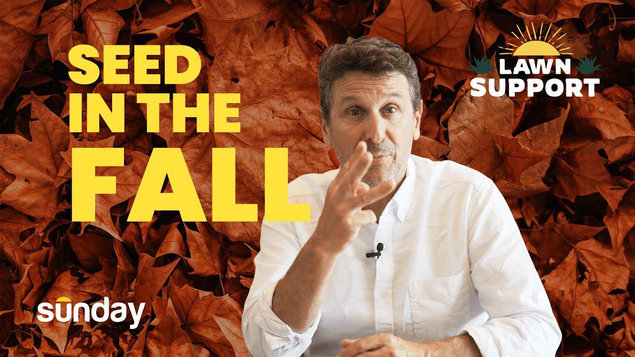 Fall Lawn Care Tips with Frank