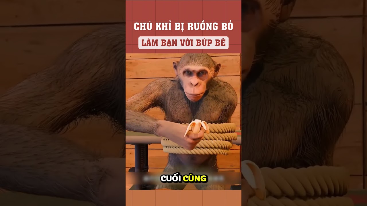 Chú khỉ bị cả đàn ruồng bỏ chỉ có thể làm bạn với búp bê