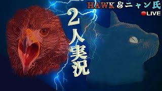 【】ニャン鷹の【】
