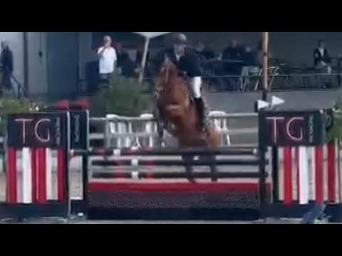 mother Show-Time 111 - Gilles Van Hamme