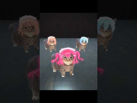 OIIA CAT 愛♡スクリ〜ム! (AiScReam) 🐈️🐈️🐈️ #shorts