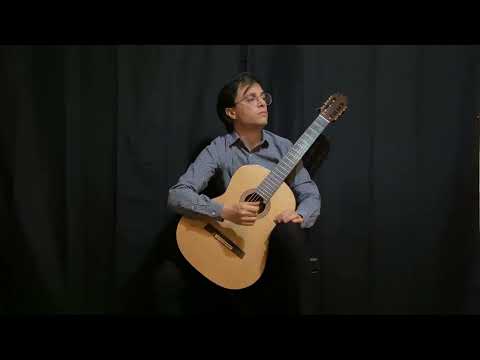 Nino D'Amico - Leo Brouwer, Hika (Dedicated to Shin ichi Fukuda/1996) ( in memoriam Toru takemitsu)