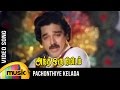 Pachonthiye Kelada Video Song | Andha Oru Nimidam Movie Song | Kamal Haasan | Ilayaraja