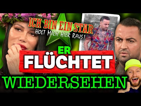 EKLAT-Wiedersehen: Cosimo FLÜCHTET nach BEEF! Die GANZE Wahrheit! Dschungelcamp 2023