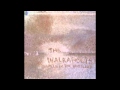 The Walkabouts - Wild Sky Revelry 