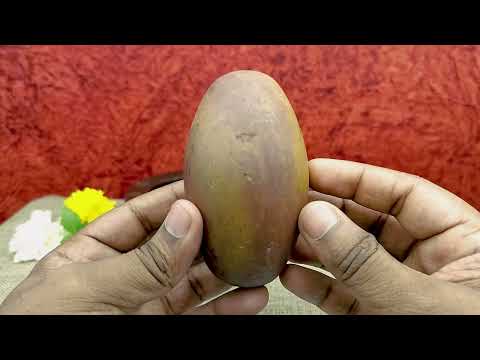Pingal Rudra Vasuki Mahadeva Golden/Yellow  Fiery Energy Rare Shiva Avtar Shivalingum video