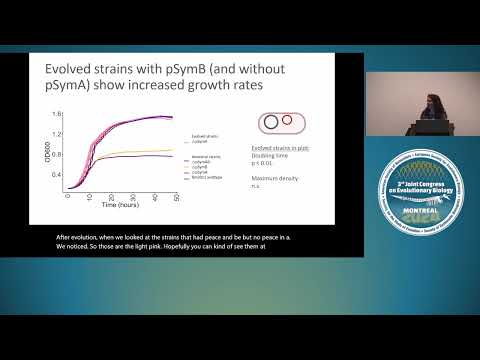 July 27th - Experimental Evolution III