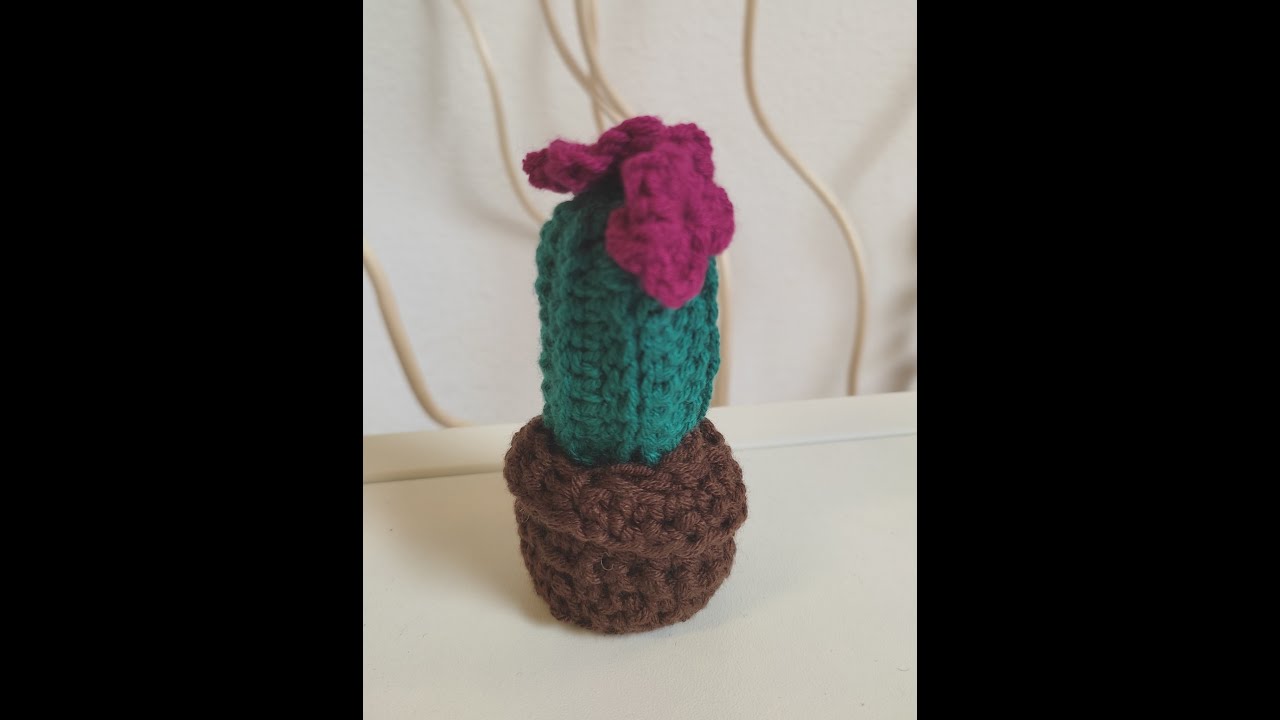 Watch Now Pianta grassa con fiore fuxia Pianta grassa con fiore fuxia