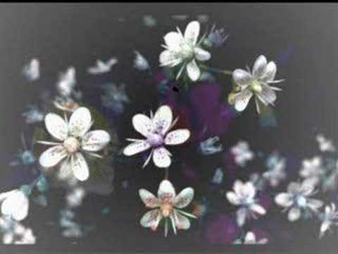 Billy Paxton - Evolution