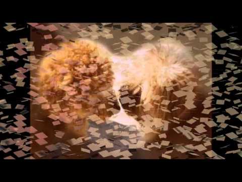 Goca Trzan ft. DJ Shone & Challe Salle- Volim do kraja TEKST