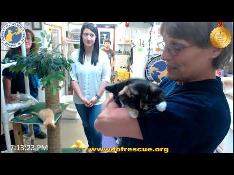 Double adoption of Gisela and Thane on 5/25/2018