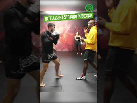 Raising Striking Intelligence and Fight IQ in Boxing with Barry Robinson