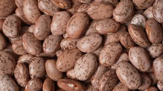 #TBTRN | Bean prices fell 16% in 2023; see how they are today.