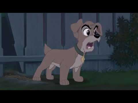 We're Back!: A Wild Animal's Story Part 4 - Meet Scamp/Welcome to the Jungle