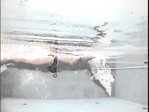 Alex Rudenko swimming. Toscana tri camp sept 2011