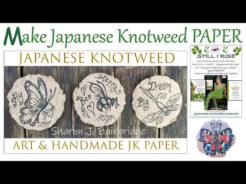 Make Japanese Knotweed PAPER