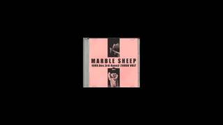 Marble Sheep - 1999.Dec.3rd Koenji 20000 VOLT [cd-r/live album]