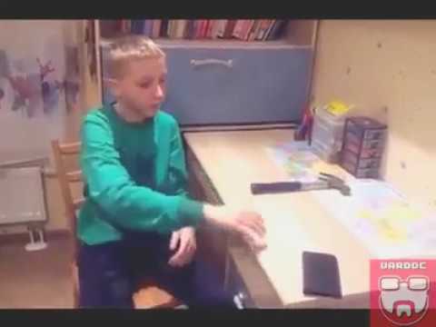 Come eliminare vermi a un terrier di Yorkshire Come portare parassiti di un corpo umano