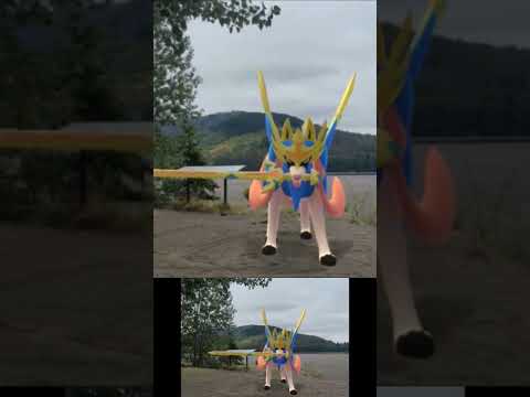 Ruta: Carrera de Zacian's en el Bio Bío, Hualqui #pokemongo #ruta #zacian