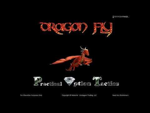 Scot Ruble's Dragon Fly - A Broken Wing Butterfly