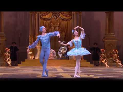 Sleeping Beauty Bolshoi 2017 Blue Bird