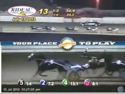 Betterthancheddar Wins  The 31st Des Smith Classic