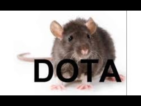 Rat doto is best doto