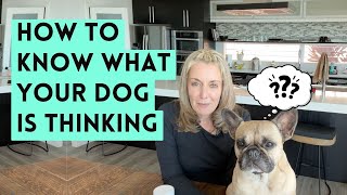 I Spoke with a Pet Communicator About My Dog’s Behavior… Here's What She Said