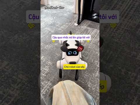 Khi sếp mua Flycam để đi làm thay mình | #aceshortpro