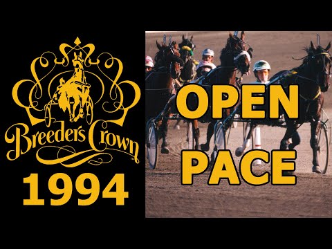 1994 Breeders Crown - Village Jiffy - Open Pace