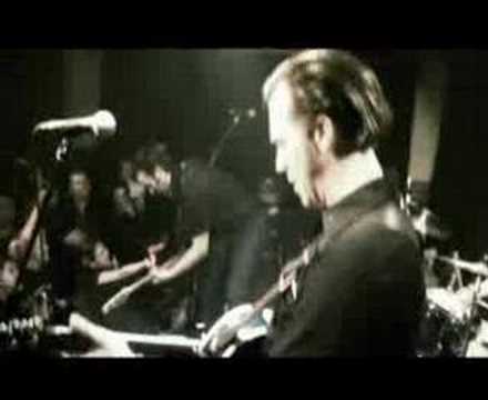 Red Light Spells Danger - Black Raven